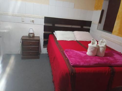 Calm hostel, Antigua Guatemala (fotografie 6)