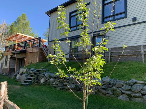 A szálláshely kívülről, Le Studio CITQ3O1849 in Saint-Pierre-De-Broughton (QC)