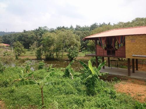 Manikgoda Tea Paradise