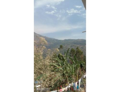 Iora Homestay, Kitam, Sikkim