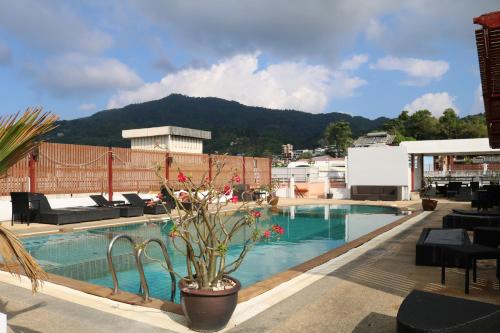 Diamond Crown - 전망