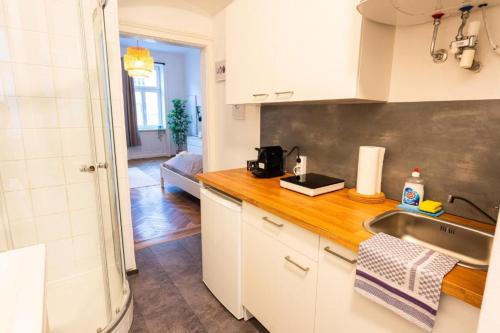 Vienna City Apartment Traisengasse, Vídeň (fotografie 5)