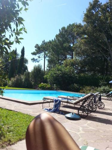 Golfetmer – Saint-Jean-de-Luz, MO