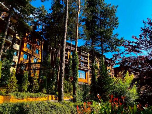 Апартамент Веирас, Velingrad (foto 3)