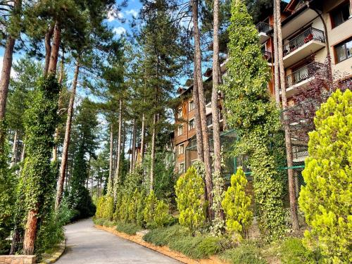 Апартамент Веирас, Velingrad (foto 4)
