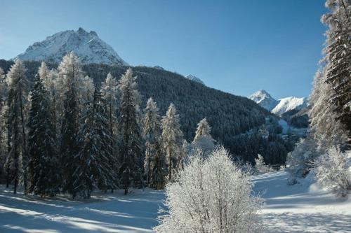 Apartment Scuol