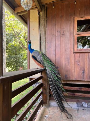 My Mountain Home in Mitirapa