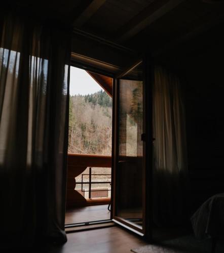 Vila Mila in Mykulychyn