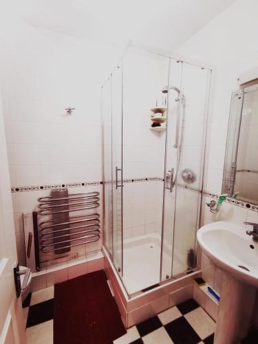 Single room in charming apartment with the terrace and the cat in Sandymount, Dublin (zdjęcie 5)