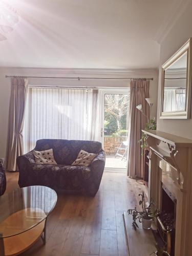 Single room in charming apartment with the terrace and the cat in Sandymount, Dublin (zdjęcie 6)