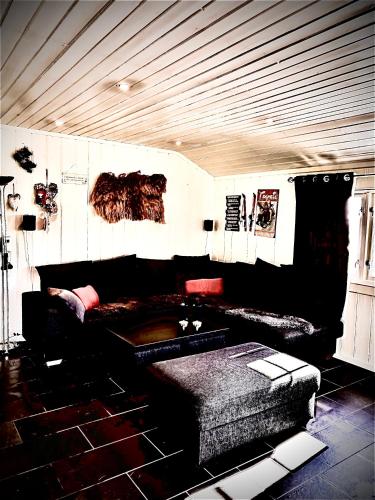 Hytta for 8 personer skiut/inn in Trysil