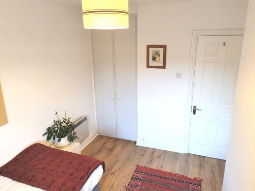 Single room in charming apartment with the terrace and the cat in Sandymount, Dublin (zdjęcie 2)
