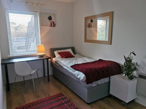 Single room in charming apartment with the terrace and the cat in Sandymount, Dublin (zdjęcie 4)