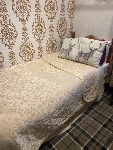 Single room, economy