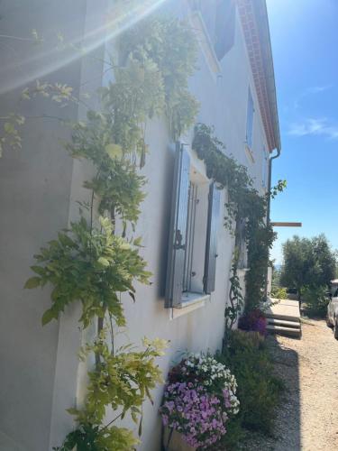 Villa 10 P piscine lagon avec vue époustouflante proche Uzès