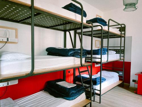6-Bed Mixed Dormitory Room image 2