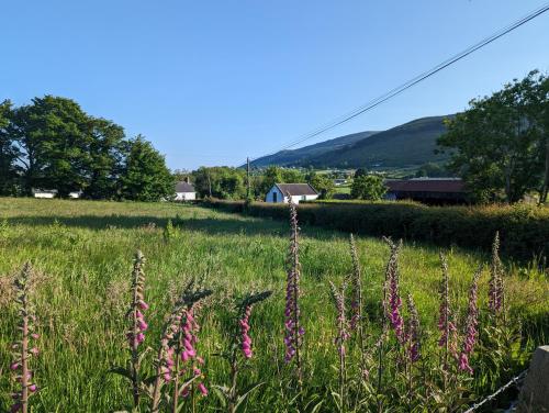 Killeavy Cottage