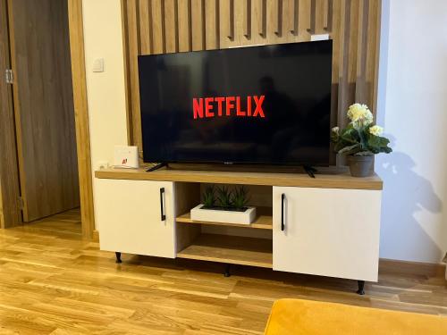 One-Bedroom Apartment image 6