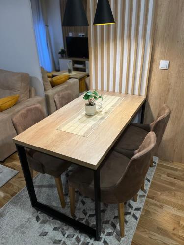 One-Bedroom Apartment image 4