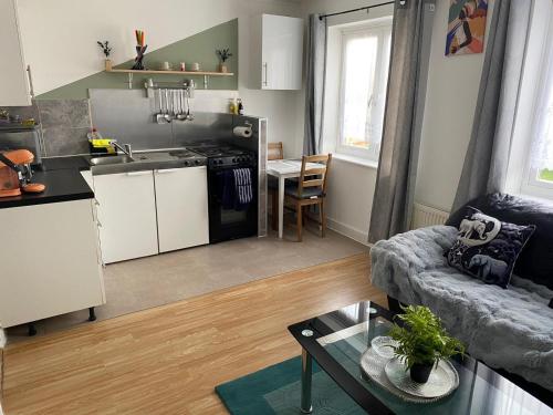 Norwich Apartment - Cosy & Comfortable 1 Bedroom - image 4