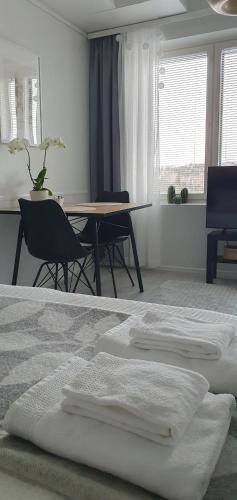 Studio 12 floor, Puijo landscape, Free parking, Kuopio (photo 11)