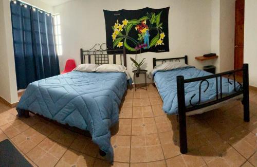 CASA ENTERA PURA VIDA! in Ciudad Hidalgo, Mexico