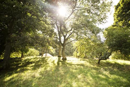 Rock Farm Slane - Glamping - image 5