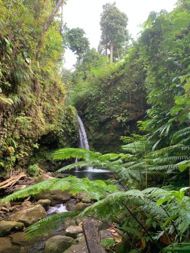 Surrounding environment, Happy-Nest (First floor) in Marigot