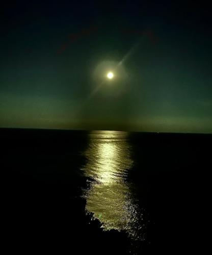 il Nido sul mare con accesso diretto alla spiaggia