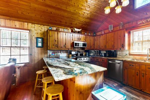 Coos Moose in Ellijay, USA
