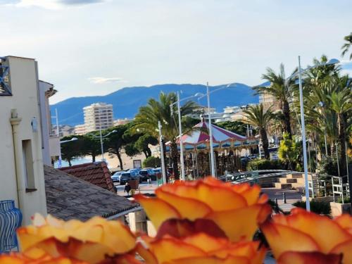 Baie Bleue Saint-Raphaël Your Hoste Helper