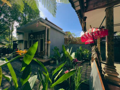 Homestay Sente, Munduk