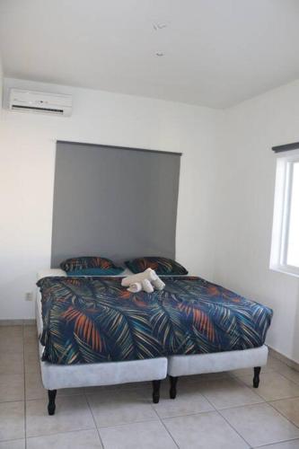 Mambo Beach Casa Ofori at Baracuda - image 3