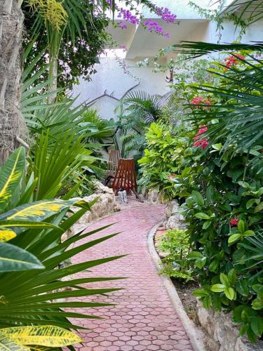 532713218 Hotel Para Ti - Adults Only
