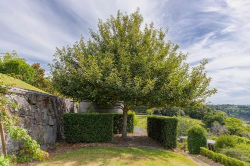 New Tranquil Hinterland Retreat Stunning Views