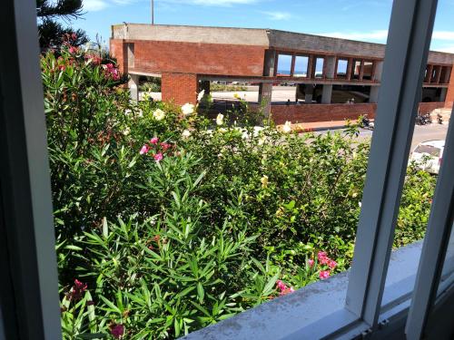 Kilátás, Hotel Gaudi in Peninsula