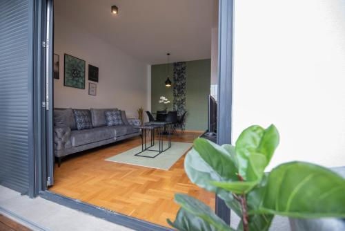 One-Bedroom Apartment image 5