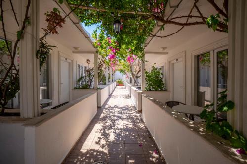 Grand Emir Hotel & Spa Room Type - Triple Room with Terrace