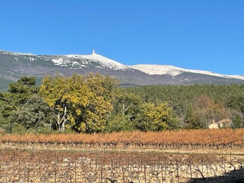 Km2 - Location saisonnière - Bédoin