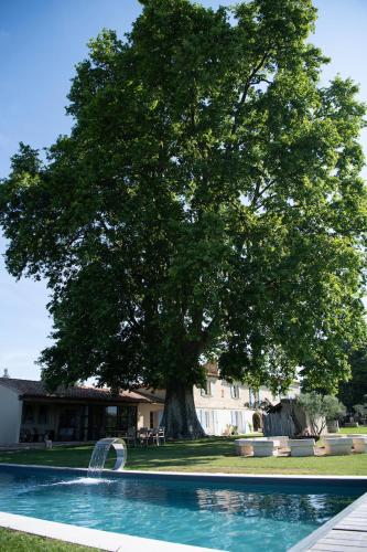 Mas d images styled by Scapa Home Mas d images styled by Scapa Home