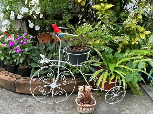 Baan Fahsai  - image 11