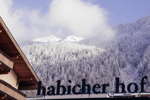 Hotel Habicher Hof - image 3