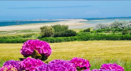 La Maison Bleue - 300m de la mer