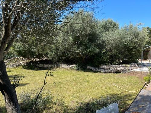 Villa a Rosa Marina con piscina a 300 m. dal mare