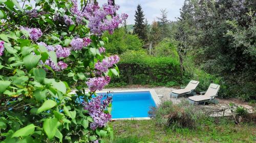 Peldbaseins, Gîte avec piscine et jacuzzi partagés en Cévennes (Gite avec piscine et jacuzzi partages en Cevennes) in Cros