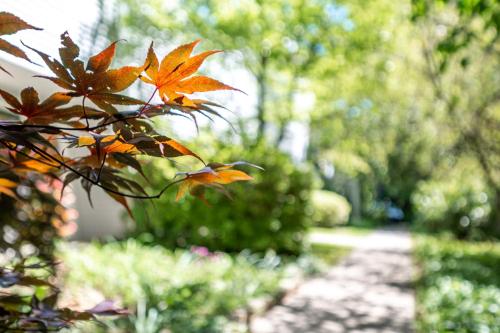 Retro Loft steps from Duke