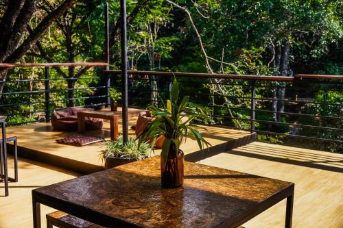 Restaurant, Oasis forest garden in Vibhavadi