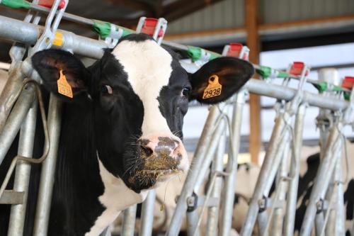 Le Thuit - F2 Plain pied tout équipé à la ferme