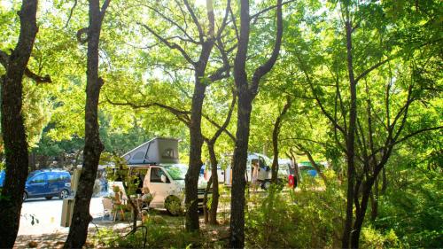 Camping Rives du Lac de Sainte Croix - image 2