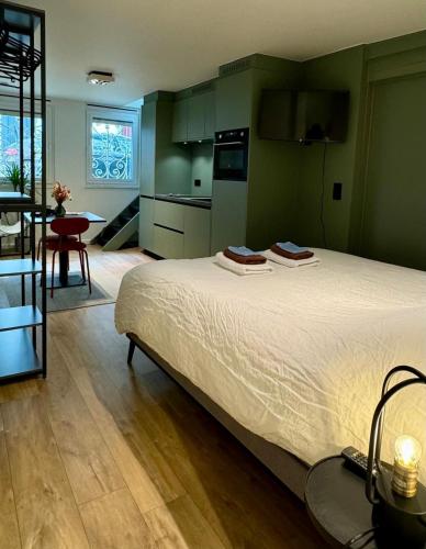 J1 - Urban studio in Antwerp, Amberes (foto 3)